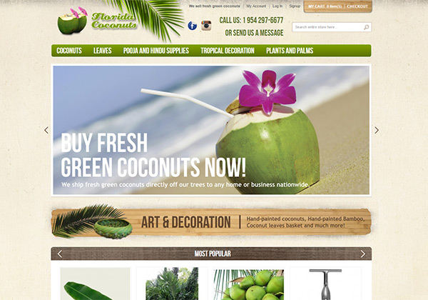 florida coconuts